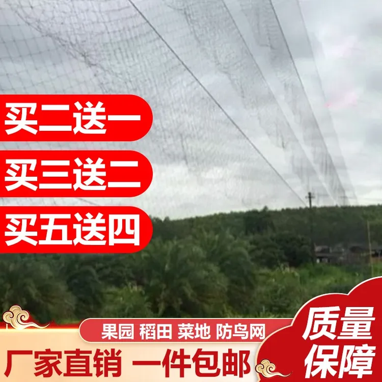 4.0孔尼龙5.0单丝防鸟网果园专用防风网多功能抗老化