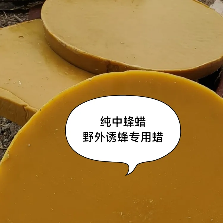 蜜蜂腊土中蜂腊蜂窝自然蜂腊诱蜂蜡蜂巢蜡招蜜蜂蜡山蜜蜂窝蜜蜡