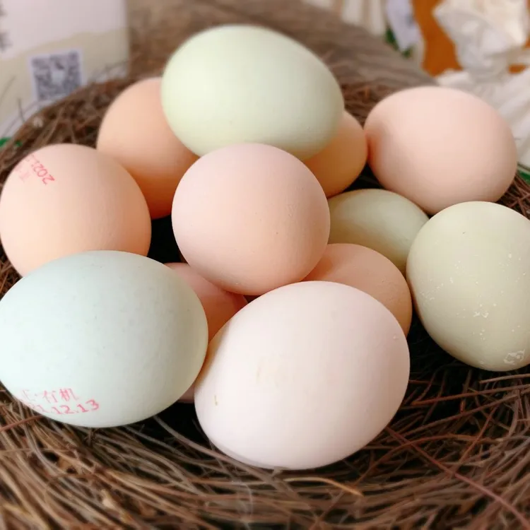 【刘歌专属】有机山鸡蛋30枚新鲜农产品蛋黄食用天然健康跑山 