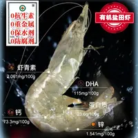 【有机生态】盐田有机生态大虾 鲜香入味  回味甘甜（3盒共1200克）