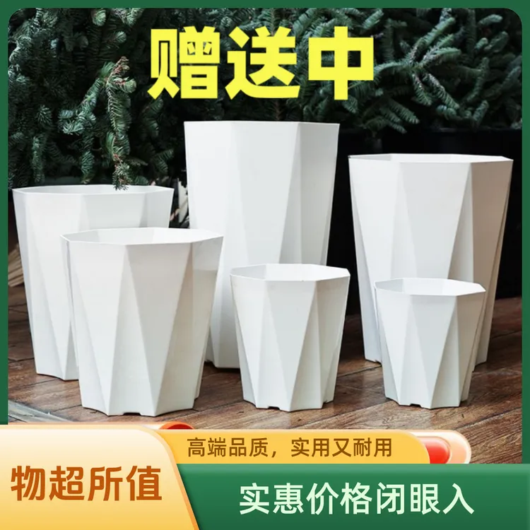 活动是【亲亲】发货急速花盆加厚塑料优质立体耐用特价透气大号时尚商品图