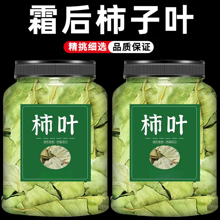 柿子叶干柿子叶100g新鲜霜后柿子叶柿子叶粉搭山楂泡水泡茶喝