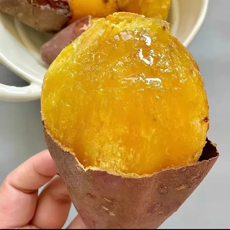 榴莲蜜薯彰武红薯5斤装