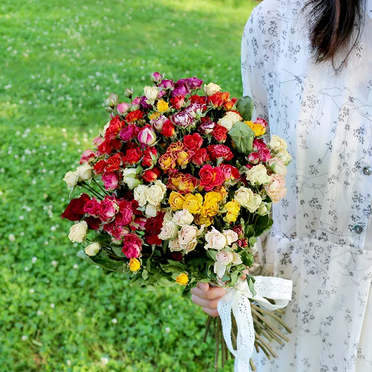 玫瑰泡泡多头蔷薇干花真花家居装饰摆件DIY材料拍摄道具民宿软装