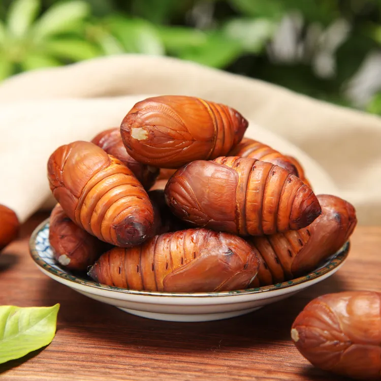 溪味道辽宁柞树蚕蛹500克黄茧蛹黑茧蛹东北新鲜尖蛹食用高蛋白