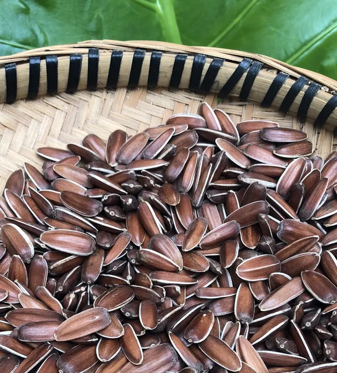 云南红皮葵花籽红皮瓜子即食甘甜糯爽口散装农产品今年新货生的