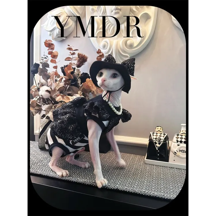 YMDR德文无毛猫牵引绳小香风胸背裙暗黑公主蝴蝶结太阳帽条纹四脚