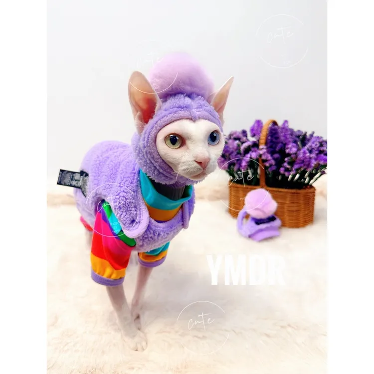 YMDR多巴胺香芋紫色毛绒马甲无毛猫德文猫可爱衣服帽子彩虹四脚衣