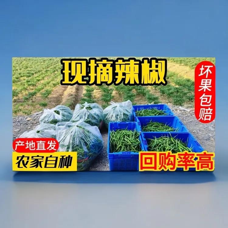 湖南农村本地青红辣椒