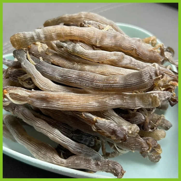 广西北海野生大号黑沙虫干货海肠子干沙虫无沙干净原色沙虫干