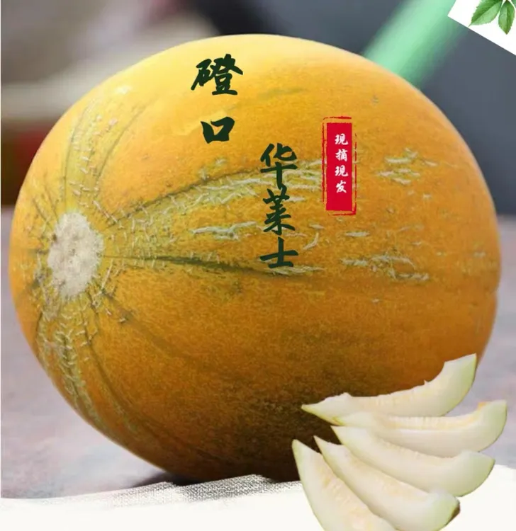 内蒙古磴口华莱士哈密瓜