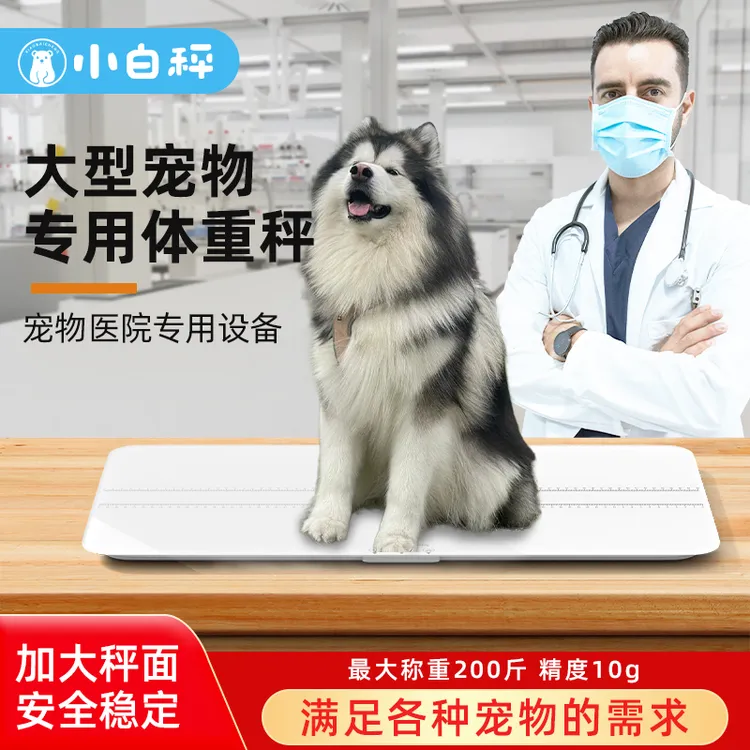 小白秤智能宠物体重秤专用猫咪狗狗医院大型宠物店专用电子秤地磅