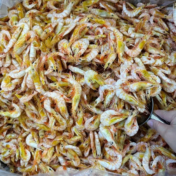 汕尾特产老德头海味干货系列-海卢虾干