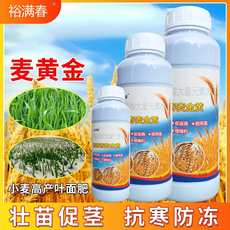 裕满春麦黄金抗寒防冻壮苗促茎抗逆抗倒伏穗大粒饱水溶肥料