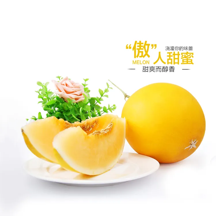 【抢购中】沙漠黄河密瓜黄金红宝甜瓜当季新鲜水果整箱批发包邮