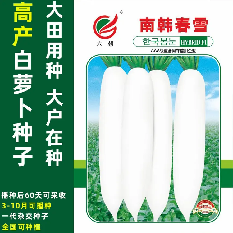 南韩春雪白玉萝卜种子春播秋播耐寒白萝卜籽大田用种杂交萝卜种子