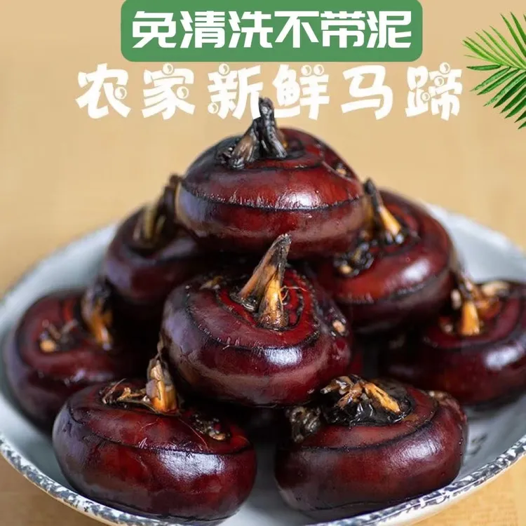 【免清洗】新鲜马蹄荸荠现挖现发地下雪梨地梨蒲秋3斤5斤