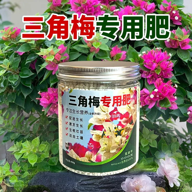 【三角梅专用肥】促进发芽生长枝条营养均衡适用于各种三角梅花肥等