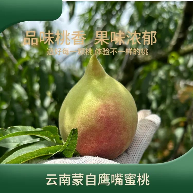 食临季 云南蒙自鹰嘴桃脆甜水蜜桃现摘新鲜水果大果3/5斤