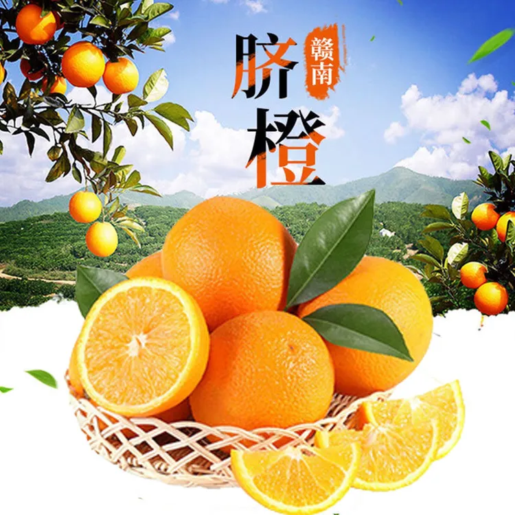 【顺丰包邮】新鲜采摘江西赣南信丰橙脐橙香甜多汁精美彩箱包装
