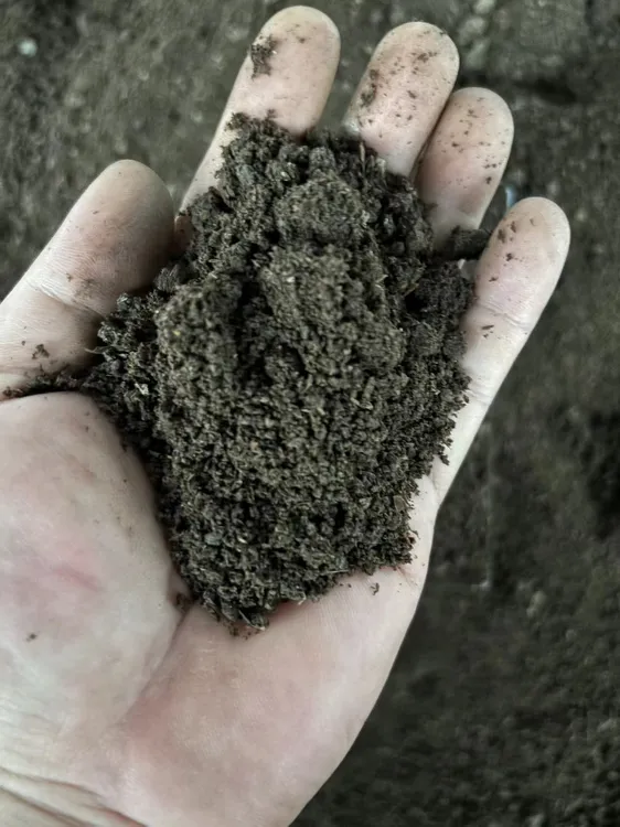 蚯蚓粪：纯牛粪养殖的精筛、低含水率蚯蚓粪