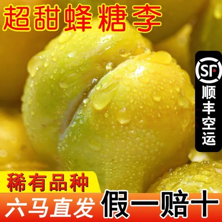 正宗贵州六马蜂糖李30~50枚,中果大果现摘现发顺丰包邮不好吃包赔