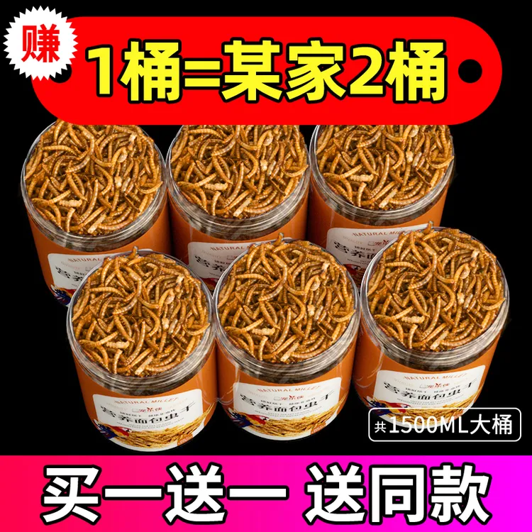 芦丁鸡面包虫干柯尔鸭零食鸟食专用鹦鹉饲料芦丁鸡开口粮大罐装