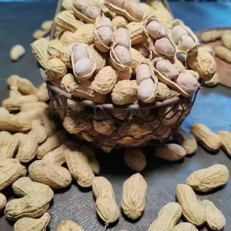 莆田农家阿姨自采花生5斤装 古法煮制 自然风干 三农