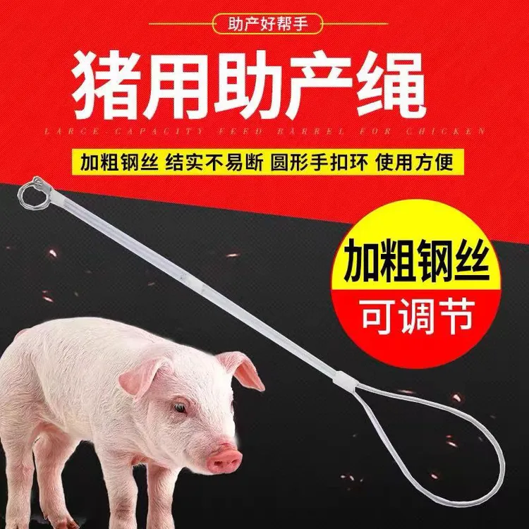 母猪助产绳不锈钢助产绳耐用猪用难产绳兽用助产器械使用猪场方便