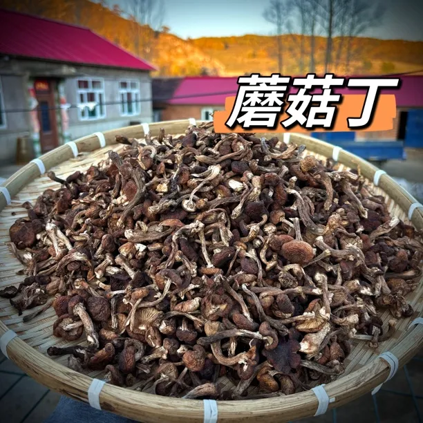 【榛蘑丁】东北野生榛蘑丁 蘑菇头 自然晾晒干