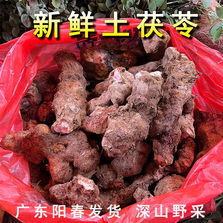 粤西深山现挖新鲜土伏苓天然野生白肉整个广东本地汤料阳春发货