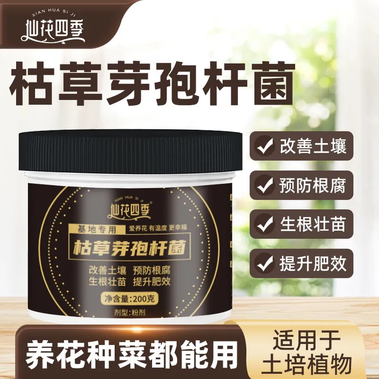 仙花四季枯草芽孢杆菌改善板结疏松花卉植物通用微生物菌肥料养花