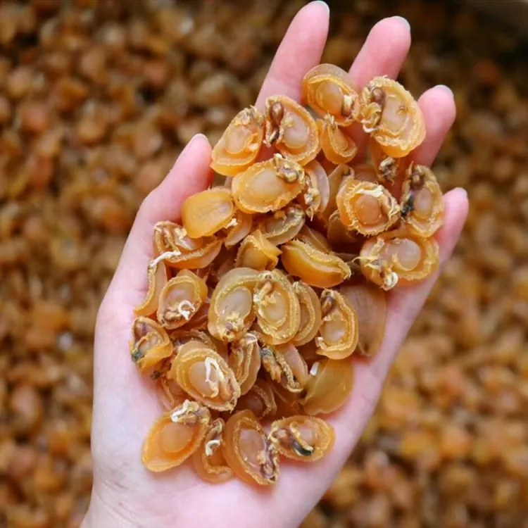 天邸鲍鱼鲍鱼干煲汤煲粥海鲜干货  100g-500g