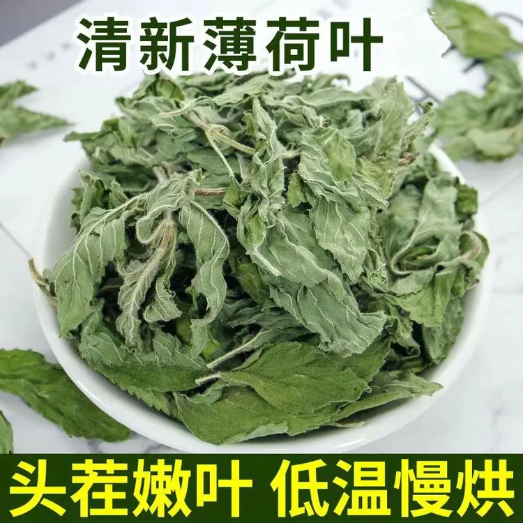 薄荷茶叶干薄荷叶新鲜可食用泡茶水手工四季熬夜方便饱满冲泡