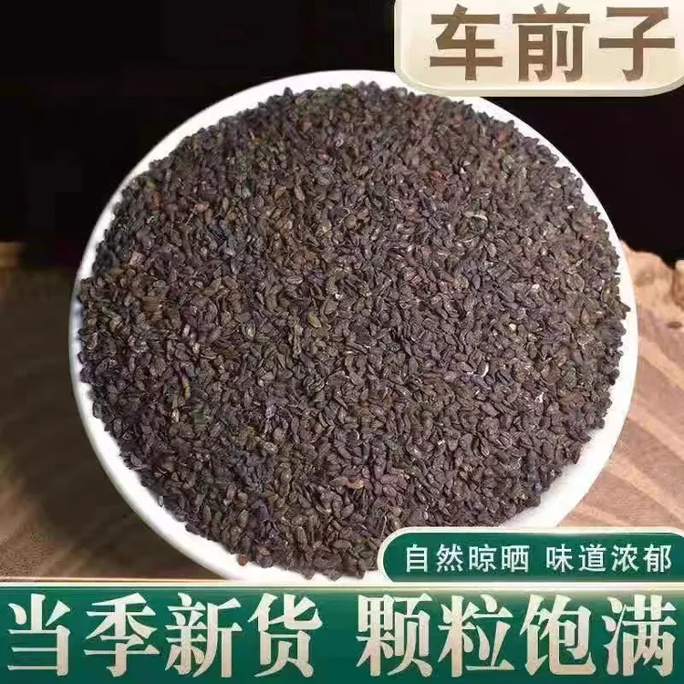 正品车前子中药材中草药车前草子籽中药材非野生车前子泡水包邮