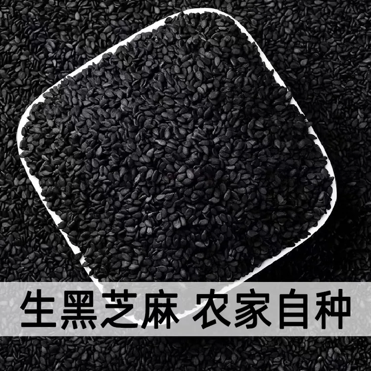 生黑芝麻生的农家自产散装五谷杂粮无沙无染色芝麻粒营养饱满自种