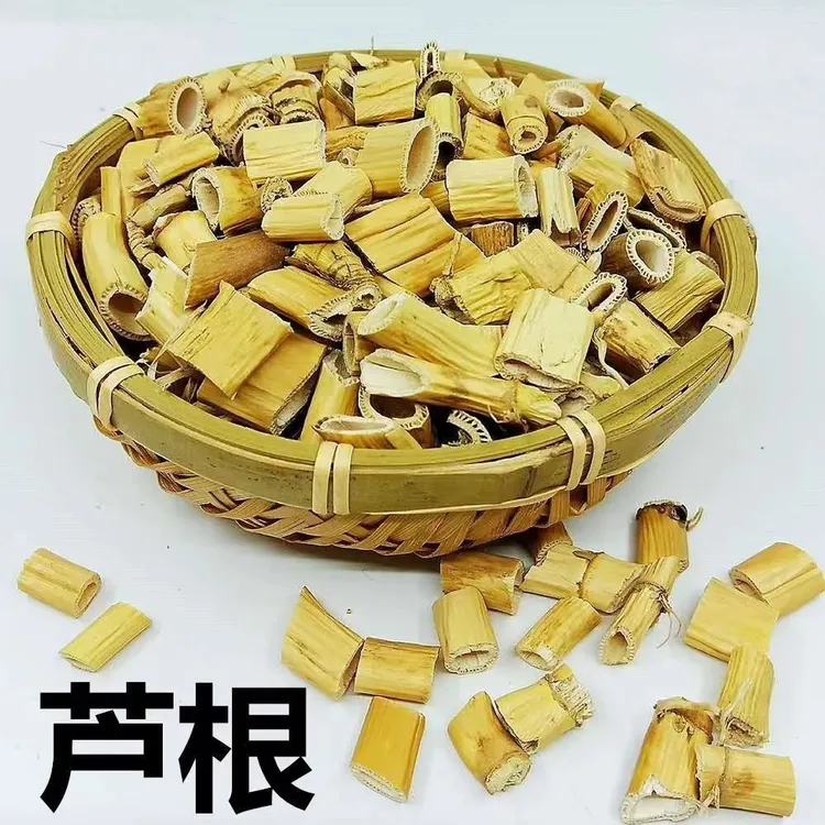 正品芦根新货芦苇根非特级新鲜芦根干泡芦根茶配藕节白茅根散装