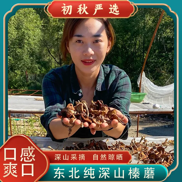 2025大自然馈赠深山采摘 自然晾晒榛蘑半斤/一斤
