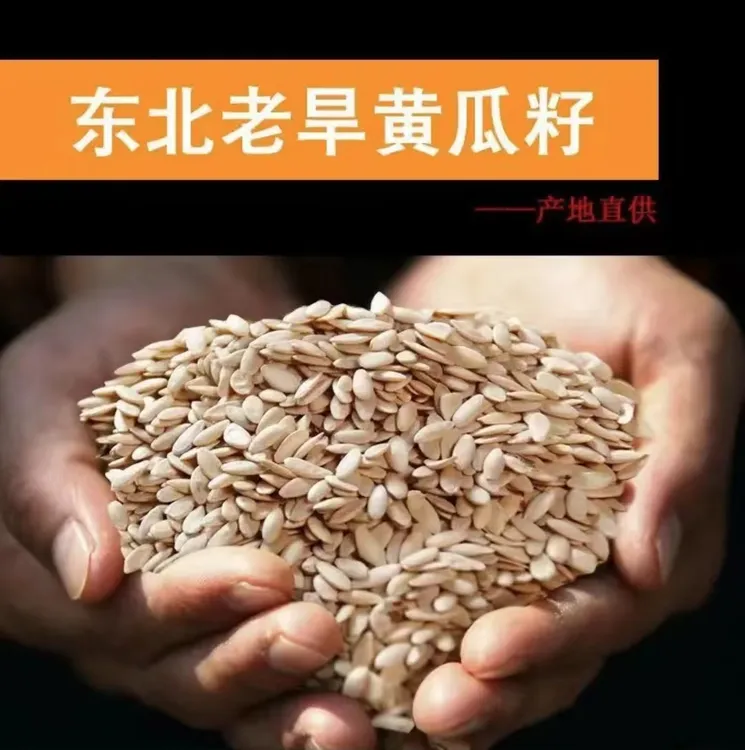 东北黄瓜子东北老旱黄瓜籽现打老黄瓜子可打粉生黄瓜籽一斤