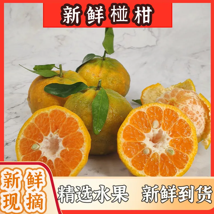 云南新鲜现摘现发香甜爆汁肉质农家自种椪柑5斤/10斤装包邮