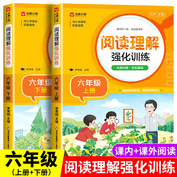 六年级上下册阅读理解每日一练人教版语文课内课外强化专项训练书