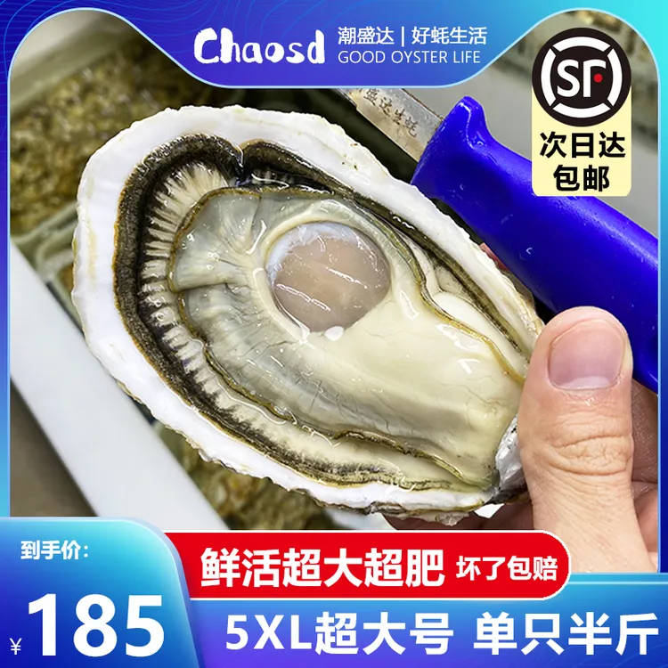 潮盛达乳山生蚝鲜活10斤特大5XL海鲜水产新鲜海蛎子牡蛎整箱包邮