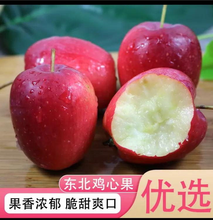 东北特产新鲜鸡心果 现摘现发小苹果 净重发货酸甜脆非海棠果 