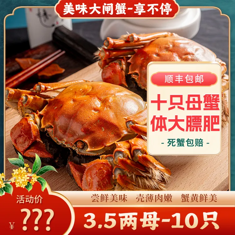 【活蟹】江苏青烊精品大闸蟹3.5两全母蟹共十只足斤足两