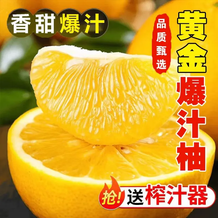 现摘黄金葡萄柚新鲜柚子薄皮当季水果黄肉蜜柚大果甜西柚孕妇多汁