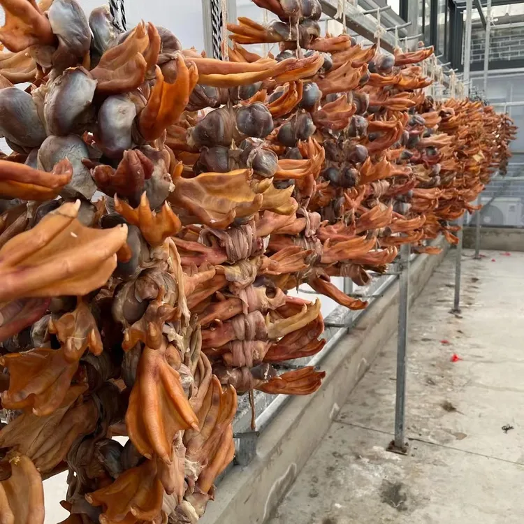 徐小妹专属六安正宗散养皖西白鹅鹅掌老鹅肫爪手工腌制咸货鹅肫爪