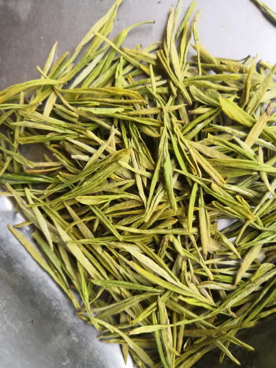 明前白茶，精选y嫩芽