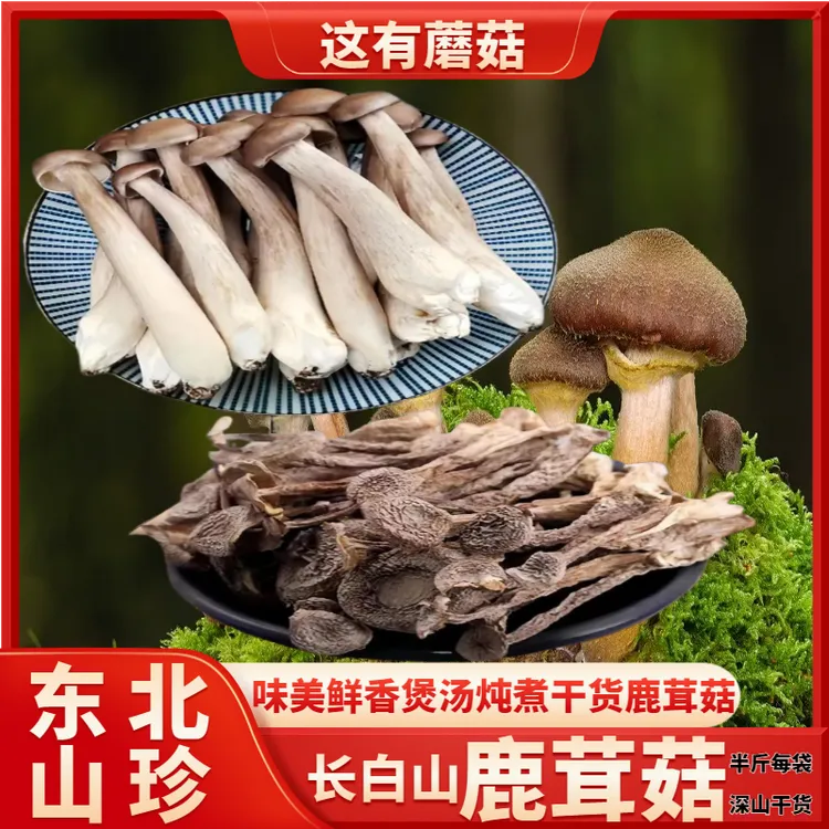 【东北长白山松茸菇（干货)】脆嫩爽口鲜香美味去根无熏硫煲汤鲜美