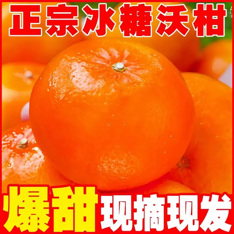 正宗高山沃柑超甜产地新鲜现摘橙应橘当季水果非正宗广西武鸣沃柑