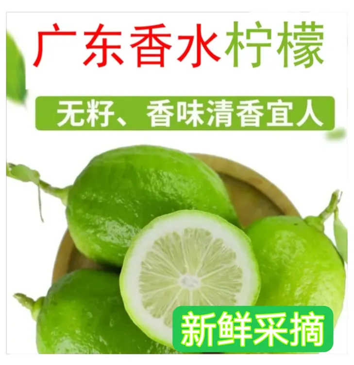 广东新鲜采摘香水柠檬无籽多汁3-9斤果园发货售后产品有保障